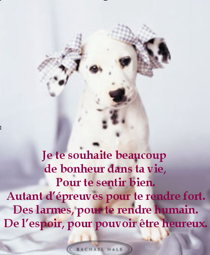 souhait